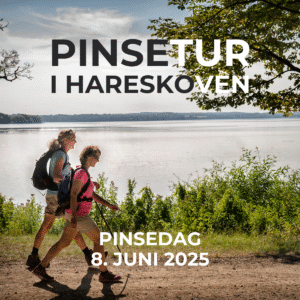 Pinsetur i Hareskoven og omegn pinsedag 2025