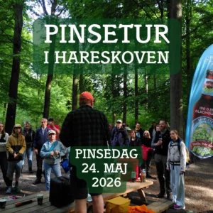 Pinsetur i Hareskoven med Skovlyst